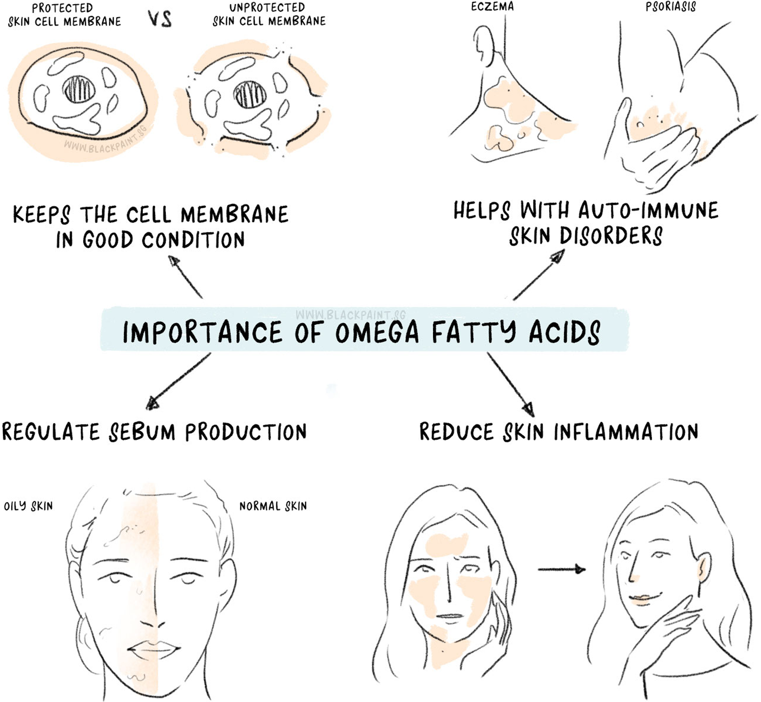 illustration of Omega fatty acids are not made in our bodies, so it is important to consume from diet for your health.